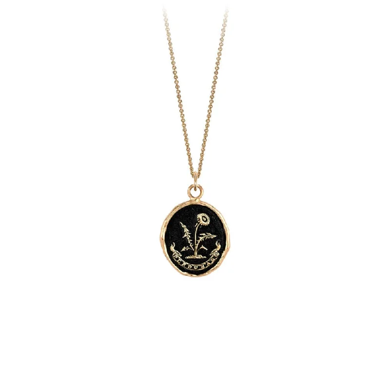 crystal necklaces for women -14k Gold I Will Endure Talisman